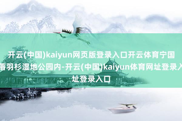 开云(中国)kaiyun网页版登录入口开云体育宁国市落羽杉湿地公园内-开云(中国)kaiyun体育网址登录入口