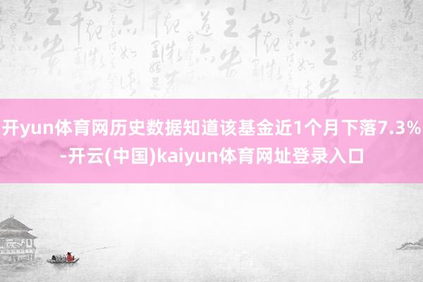 开yun体育网历史数据知道该基金近1个月下落7.3%-开云(中国)kaiyun体育网址登录入口